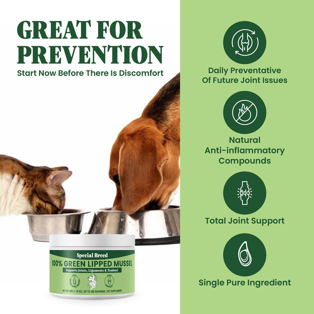 Special Breed origen Nueva Zelanda, mejillón verde puro para la salud articular.