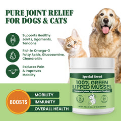 Special Breed polvo mejillón verde para gatos, mejora movilidad.