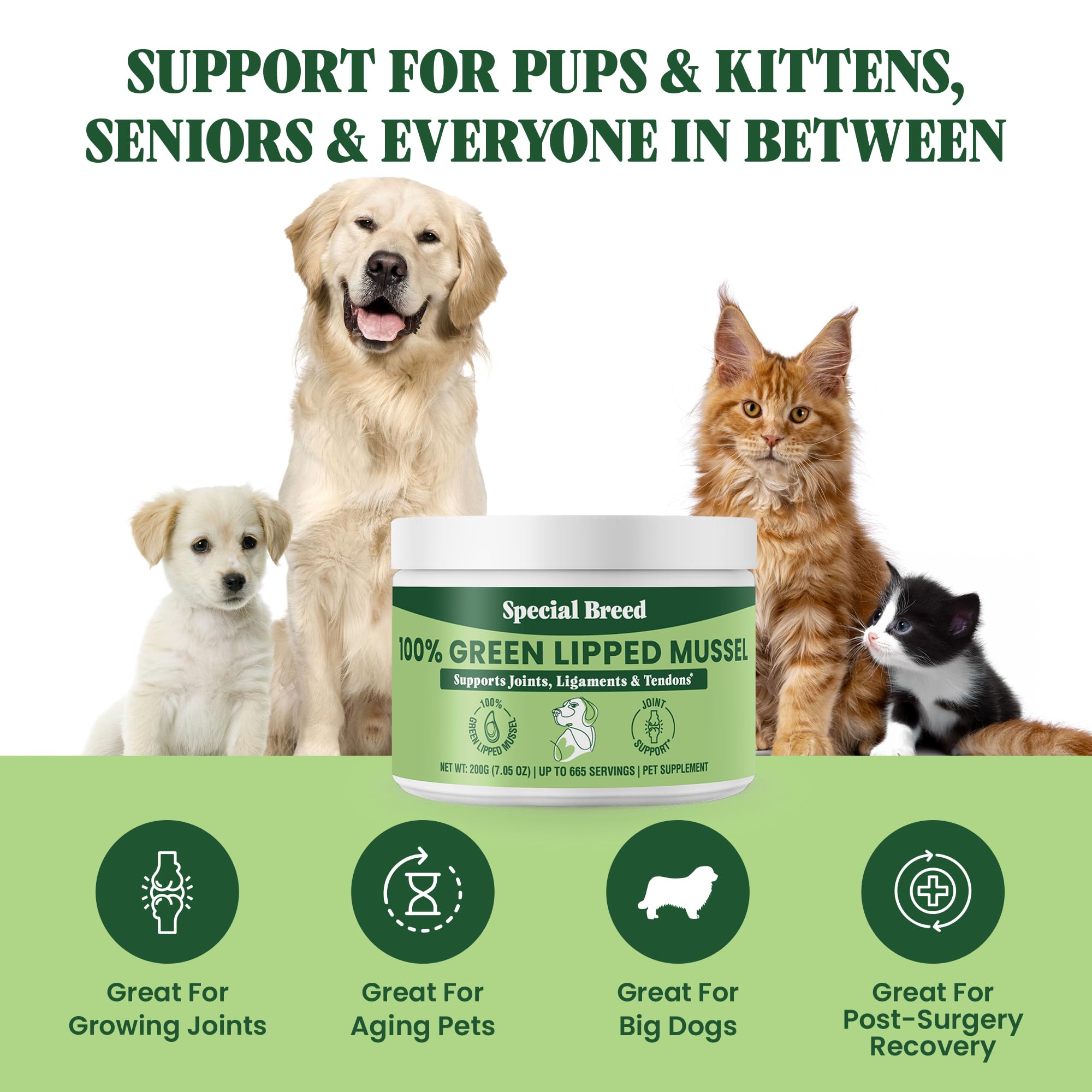 Special Breed polvo para gatos, ayuda a la salud de las articulaciones felinas.