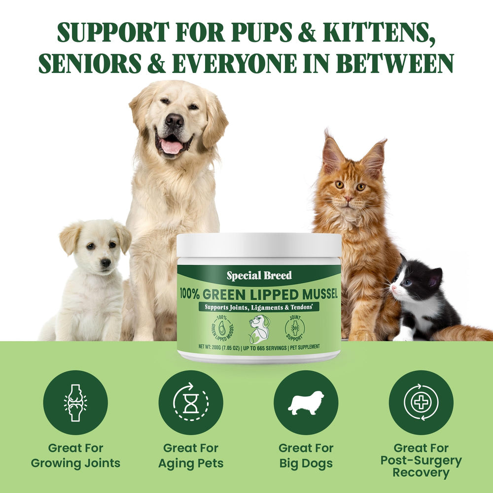 Special Breed polvo para gatos, ayuda a la salud de las articulaciones felinas.