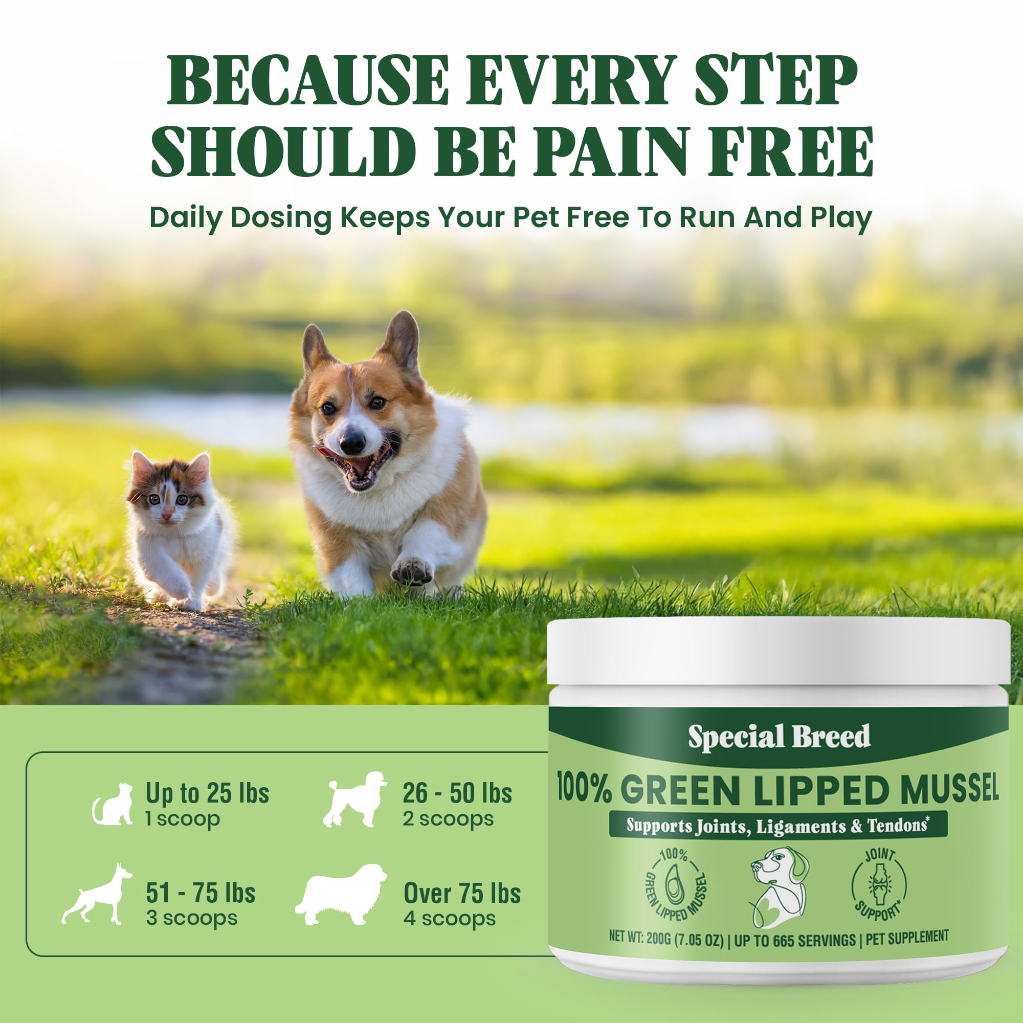 Special Breed polvo para perros, fácil de incorporar en la comida diaria.