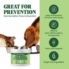 Special Breed taza de medición para polvo de mejillón labio verde, dosificación precisa.