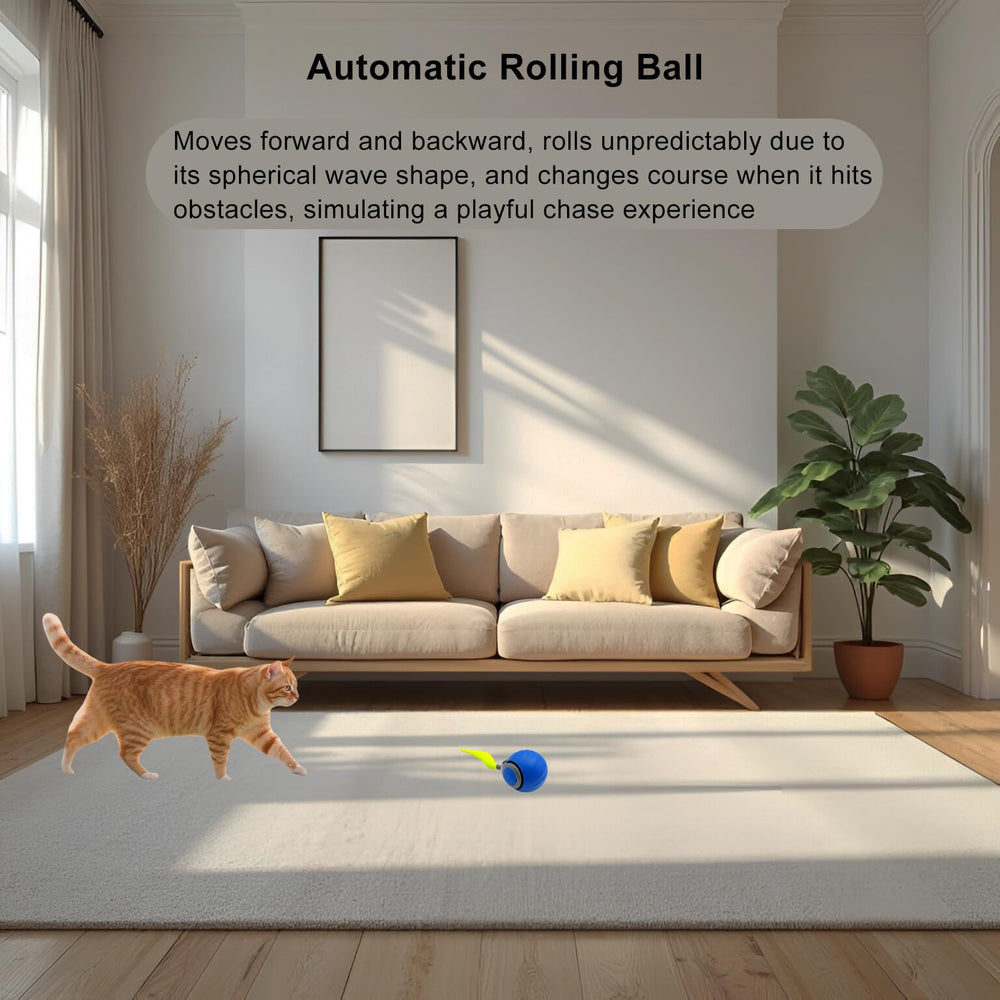Speedy Ball 2.0, rodaje automático para activar el juego del gato