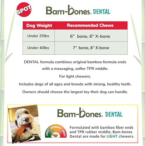 SPOT Bam-Bones centro de goma masajea encías