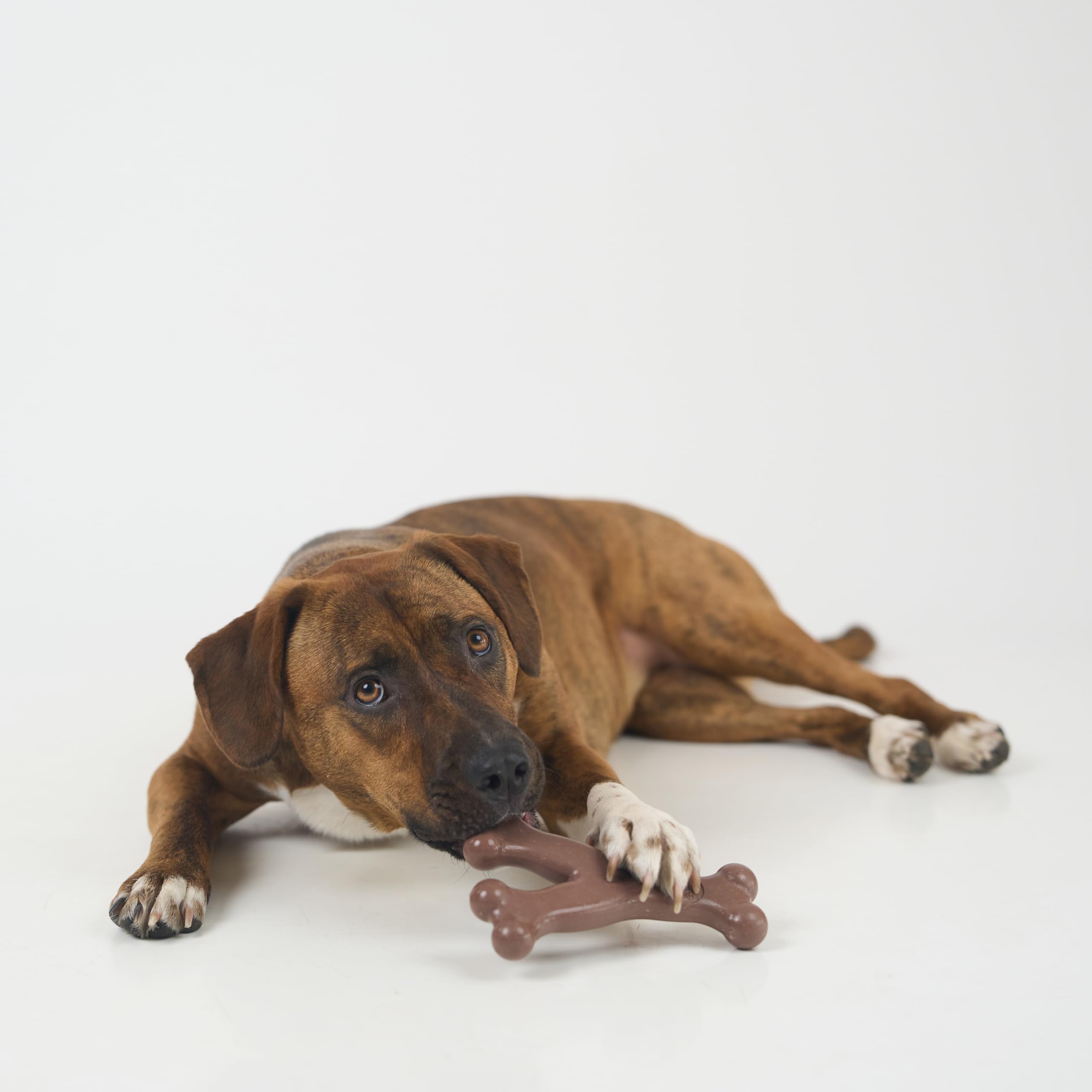 SPOT Bam-Bones fibra de bambú natural, alternativa más limpia que la madera