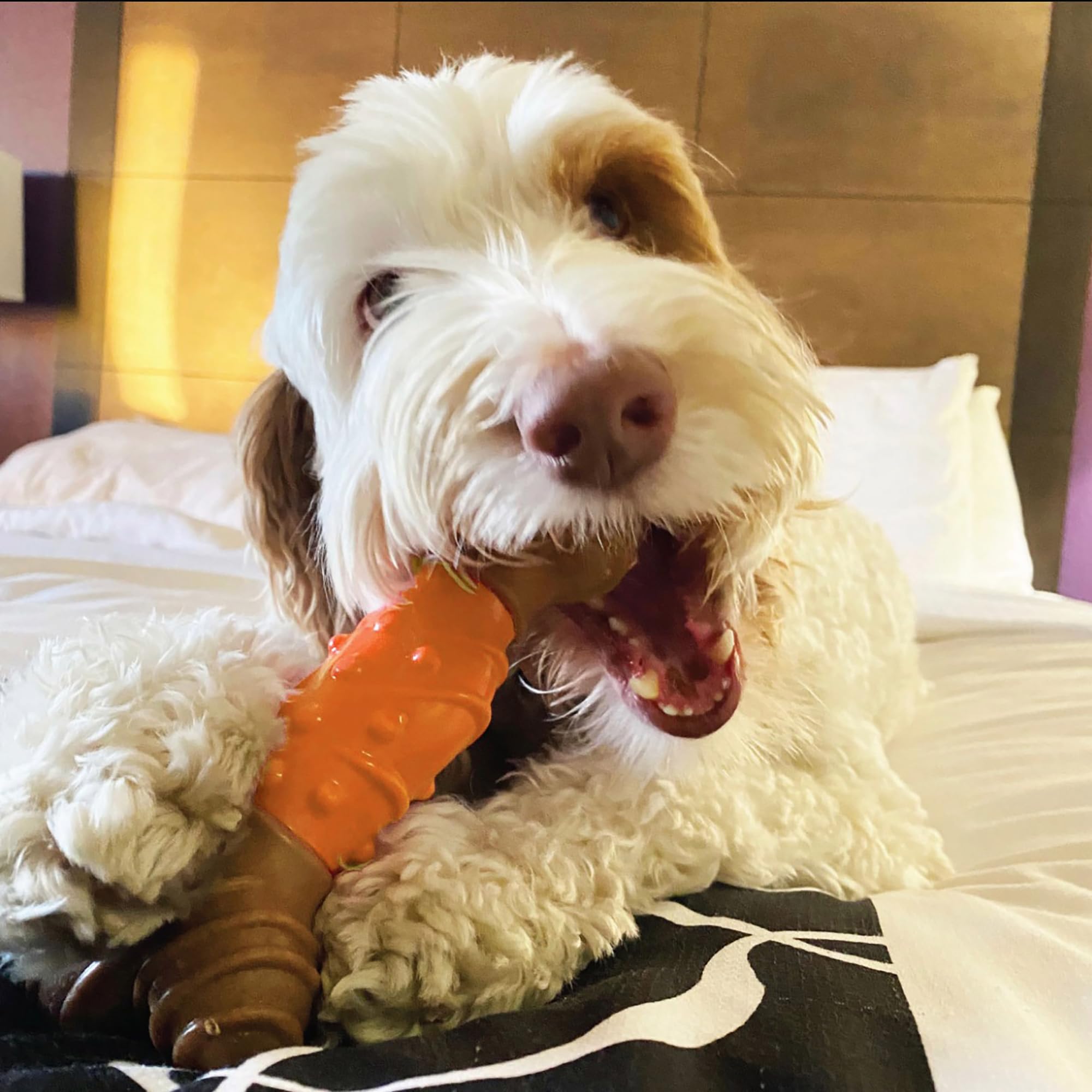 SPOT Bam-Bones tamaño grande para perros de hasta 40 lb