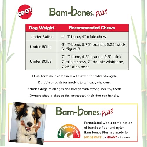 SPOT Bam-Bones Plus Salud Dental: ayuda a limpiar dientes y reducir placa