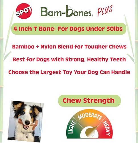 SPOT Bam-Bones Plus T Bone ayuda a la limpieza dental durante la masticación