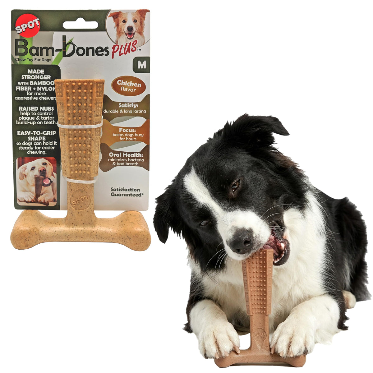 SPOT Bam-Bones Plus T-Bone, juguete masticación 6 pulgadas para perros activos.
