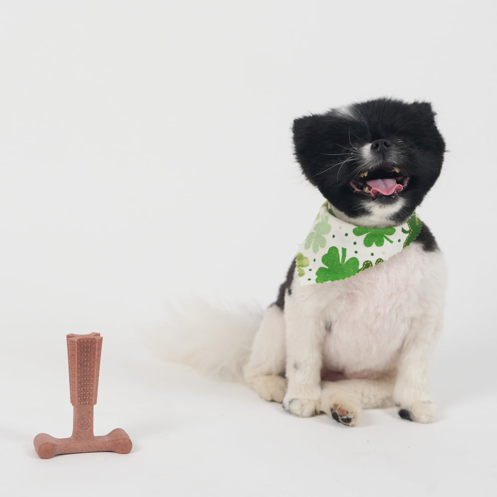 SPOT Bam-Bones Plus T Bone para uso diario y momentos de relajación