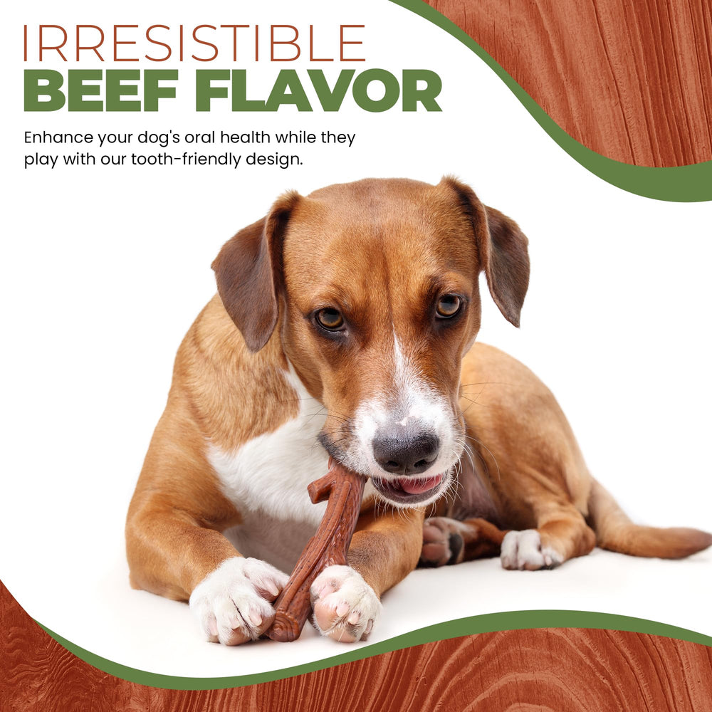 SPOT Bam-Bones Plus textura resistente para perros activos