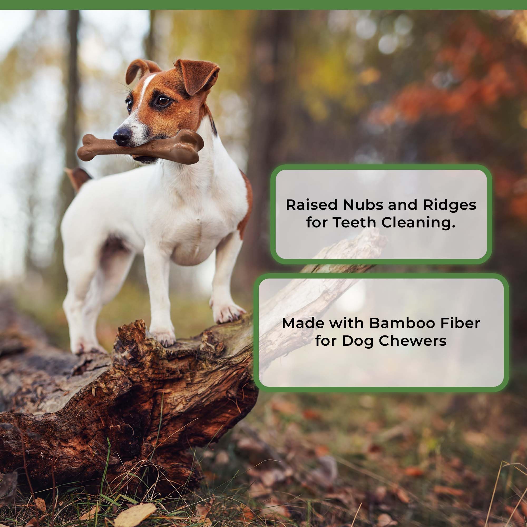 SPOT Bam-Bones tamaño medio ideal para perros pequeños y medianos