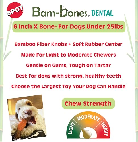 SPOT Bam-Bones, textura dual para diferentes sensaciones al masticar.