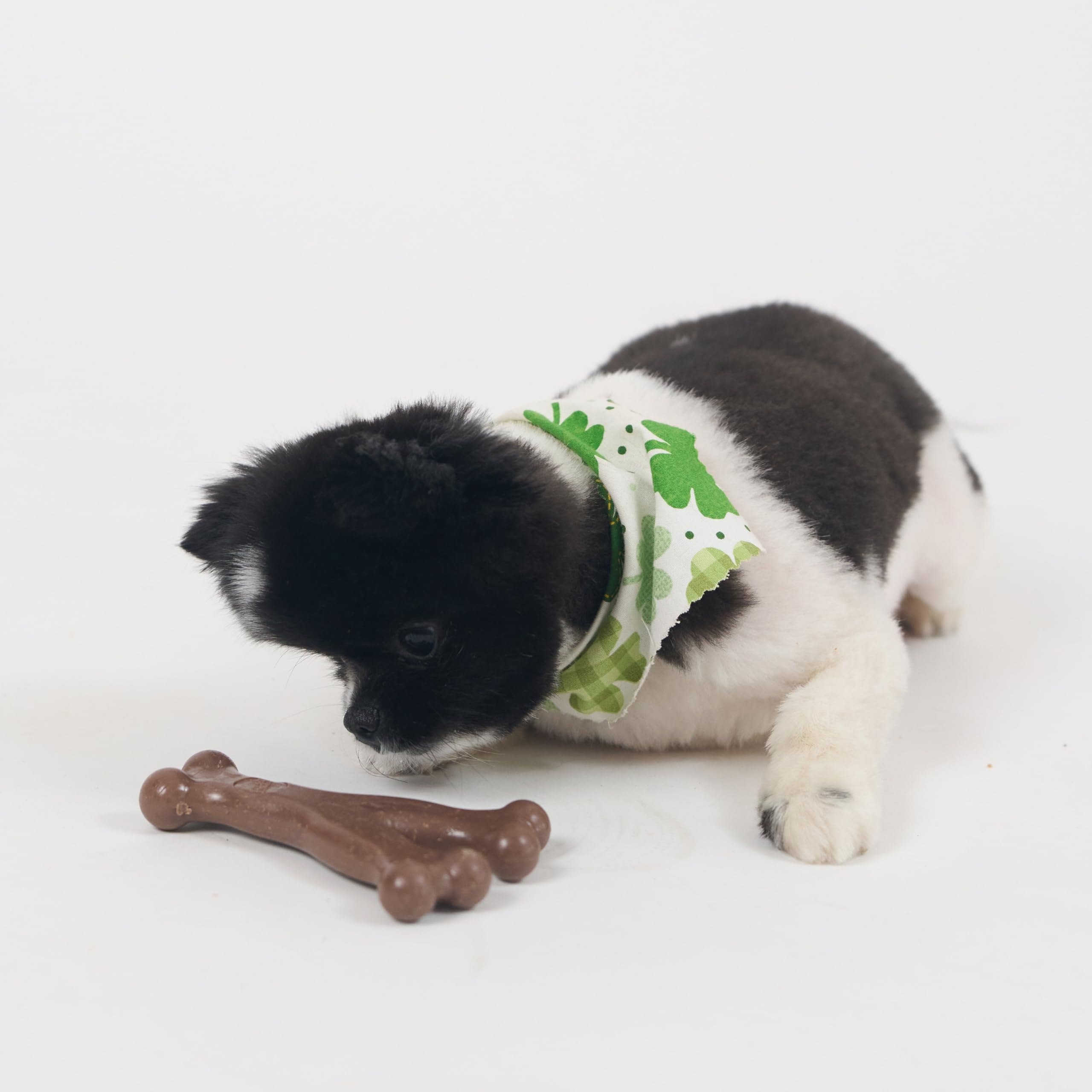 SPOT Bam-Bones Wishbone ofrece diversión diaria y estimulación para perros.