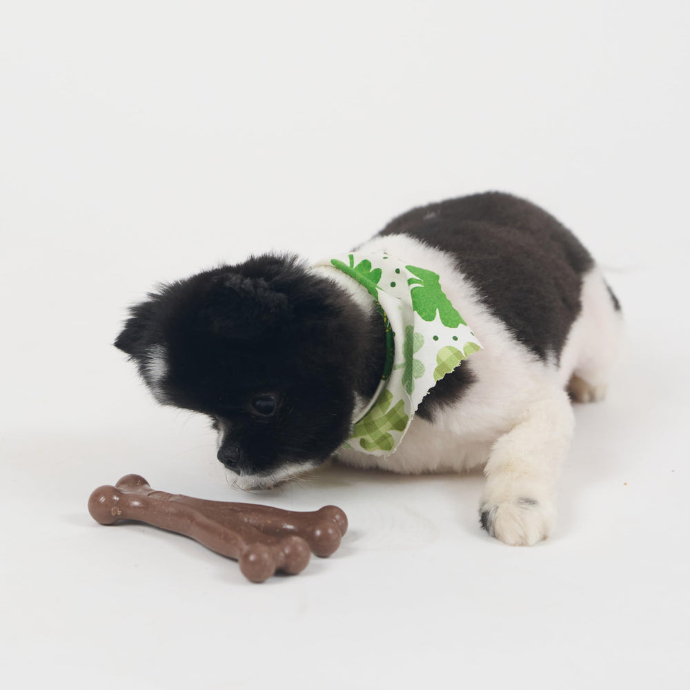 SPOT Bam-Bones Wishbone ofrece diversión diaria y estimulación para perros.