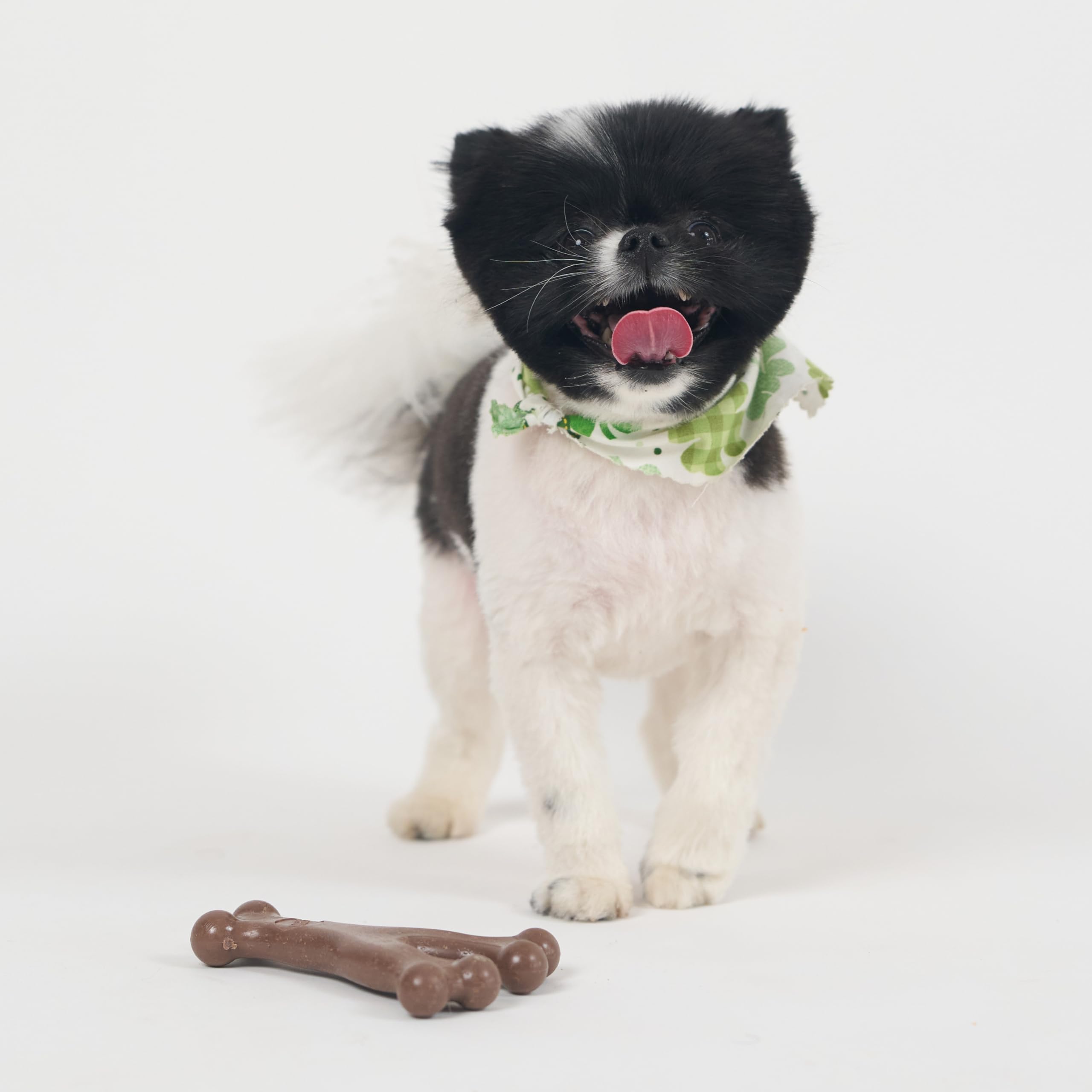 SPOT Bam-Bones Wishbone seguro y sin astillas para masticación responsable.