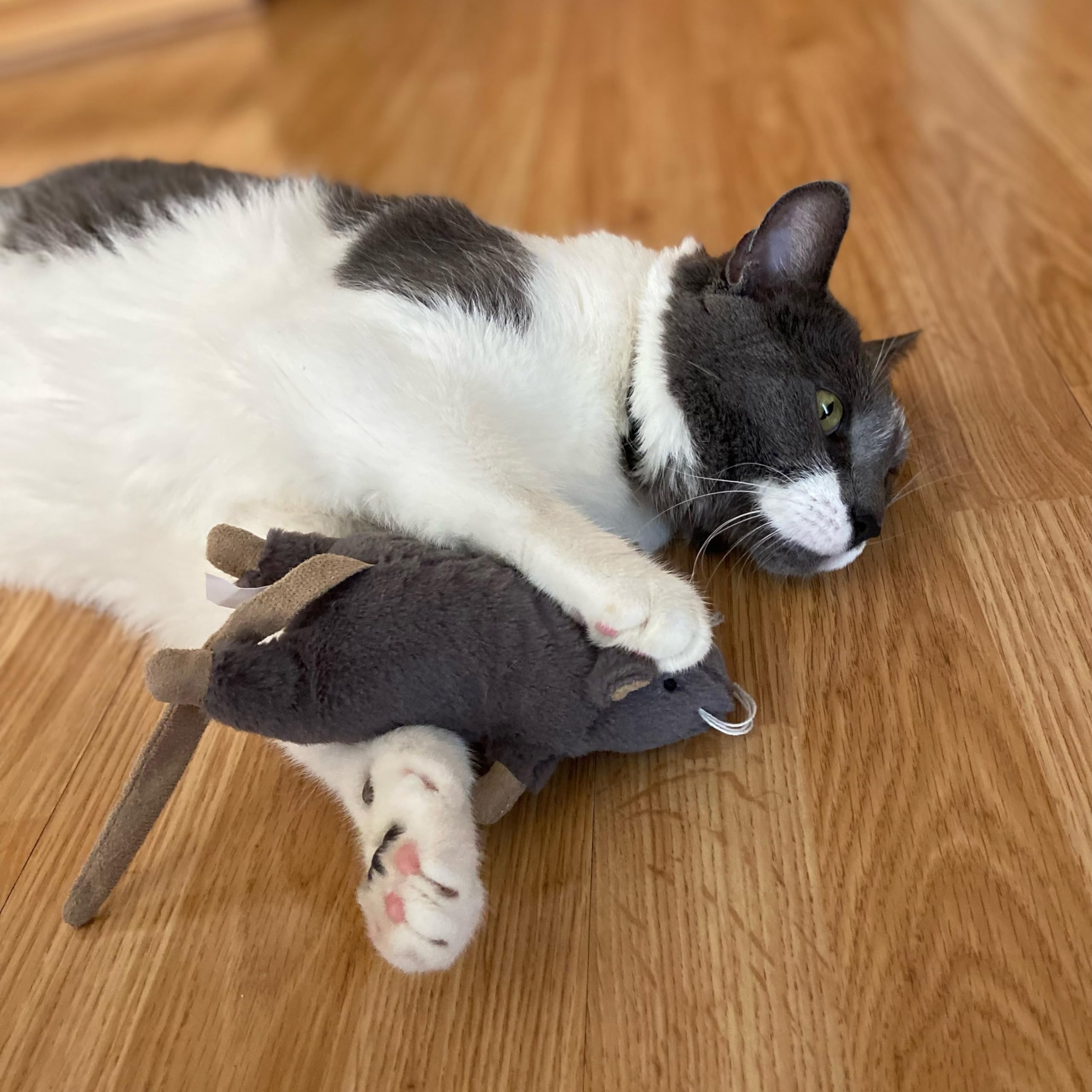 SPOT Big Mouse Bertha, 7 pulgadas, tamaño cómodo para perseguir