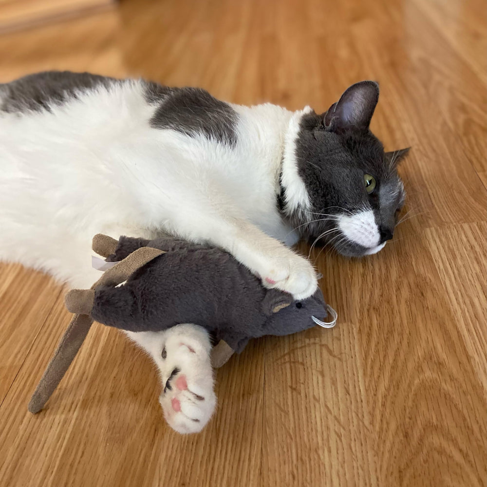 SPOT Big Mouse Bertha, 7 pulgadas, tamaño cómodo para perseguir