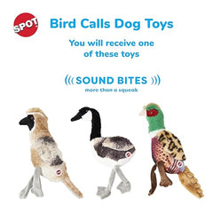 SPOT Bird Calls diseño realista, estimula la curiosidad del perro durante el juego