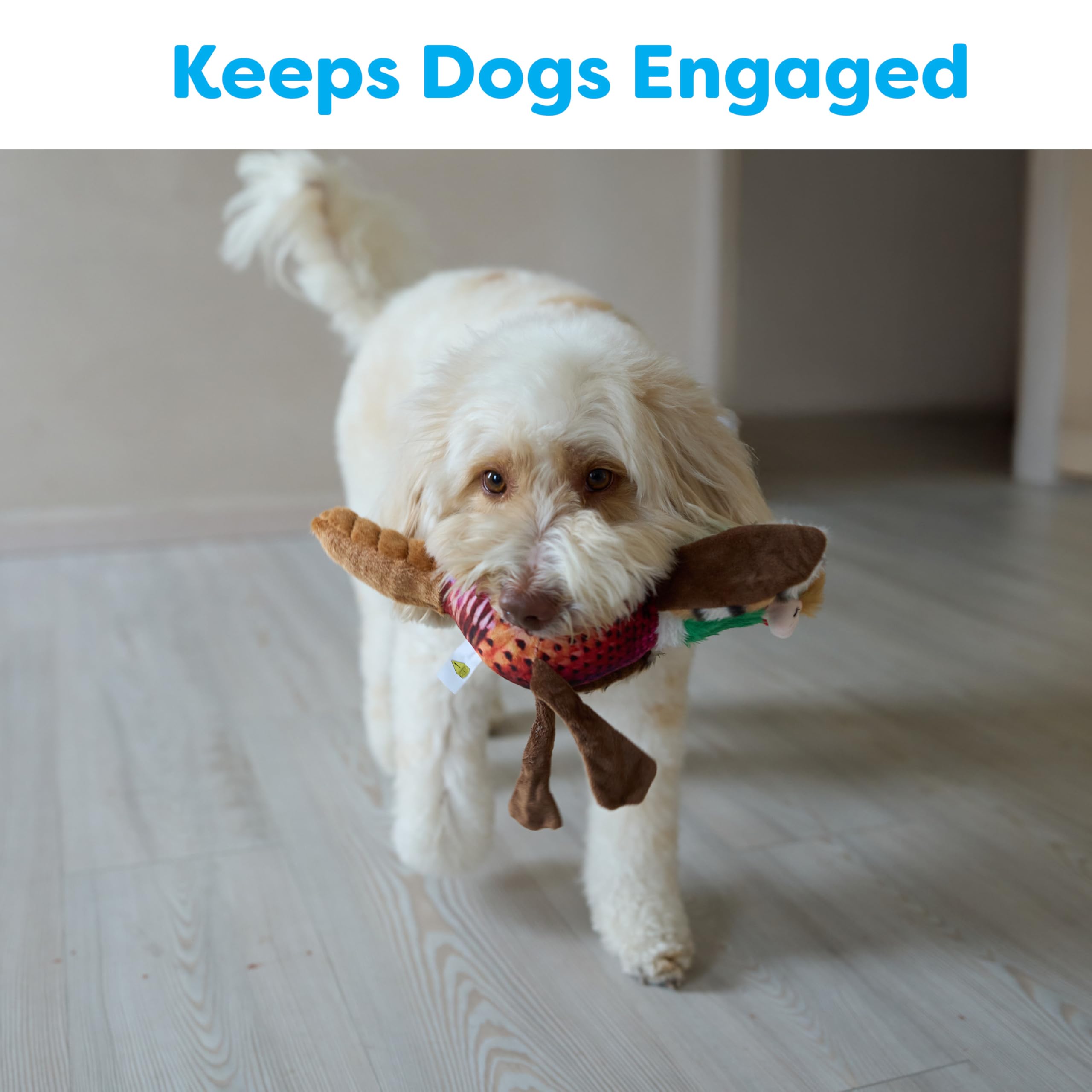 SPOT Bird Calls juego interactivo con sonido, mejora la interacción con tu perro