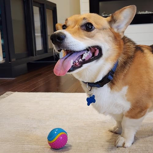 SPOT Bola Sensorial es segura y no tóxica para perros curiosos