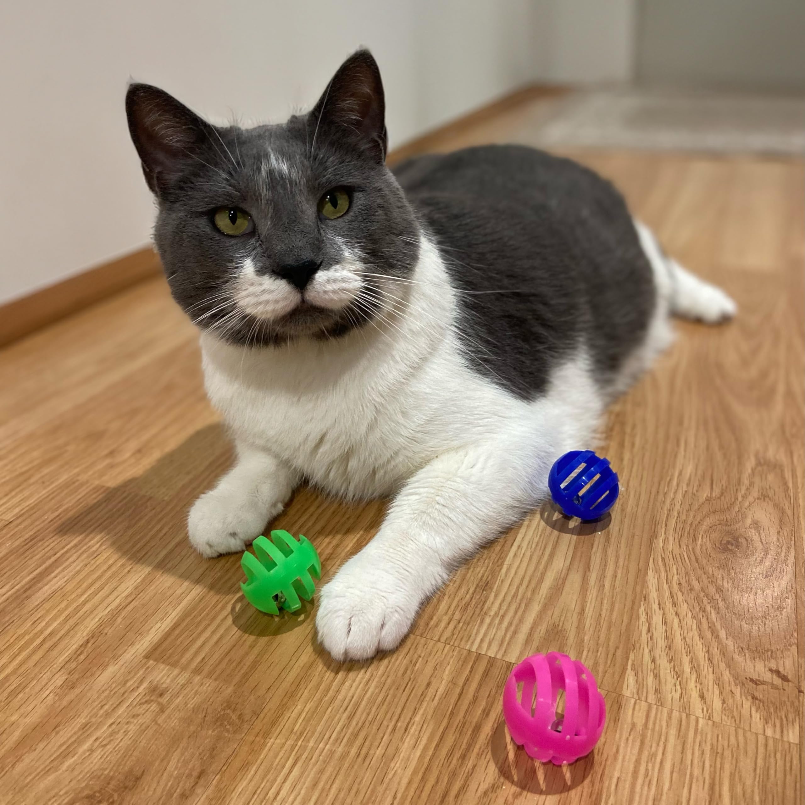 Bolas SPOT colores surtidos para gatos en casa