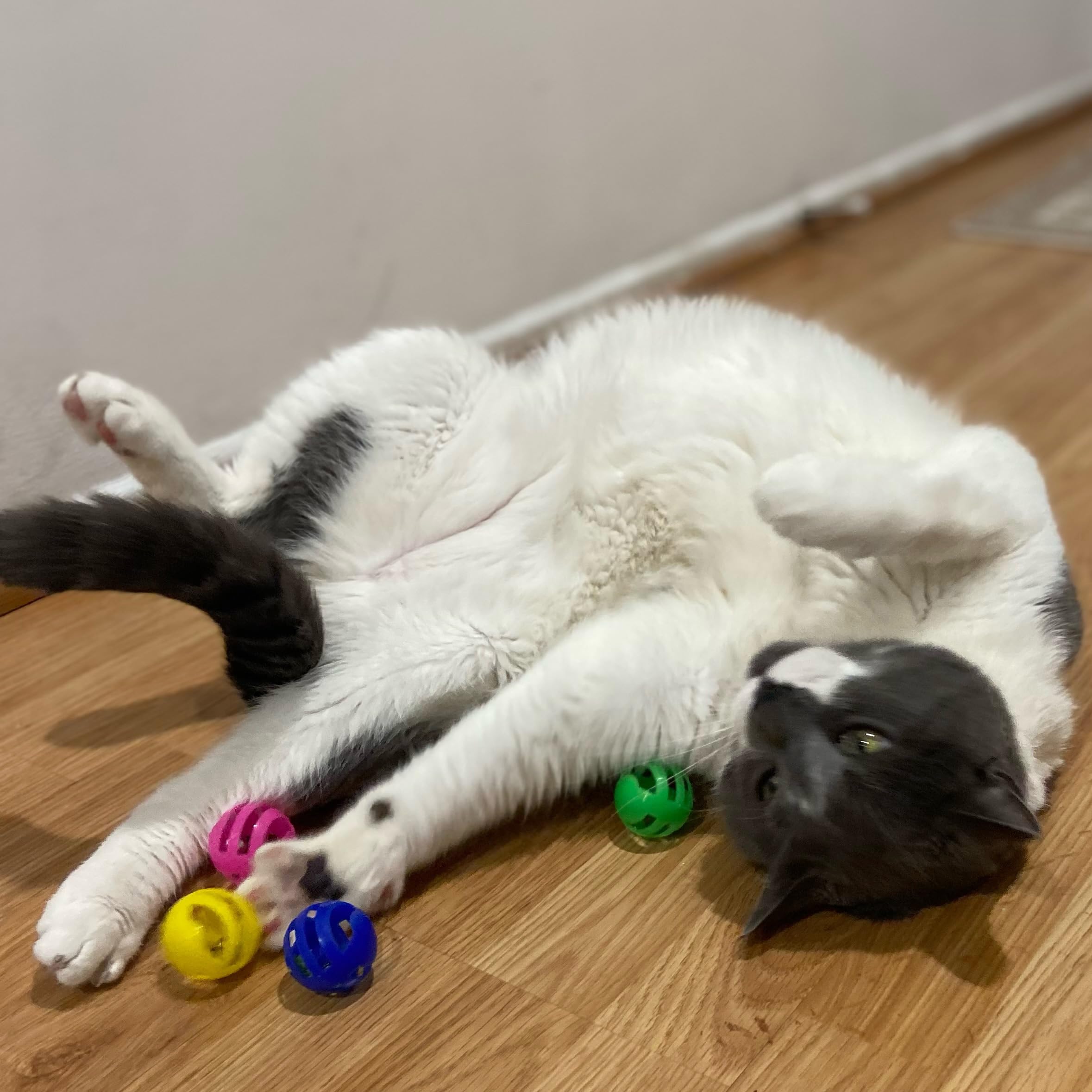 Juguete SPOT para interiores: entretenimiento y ejercicio para gatos