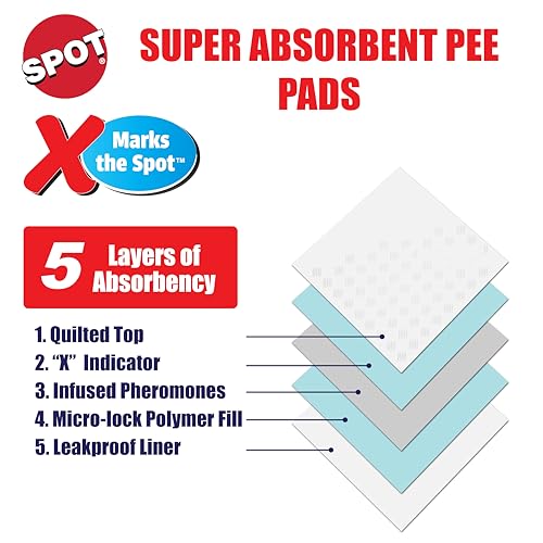 SPOT X controla olores entre cambios para un hogar más fresco