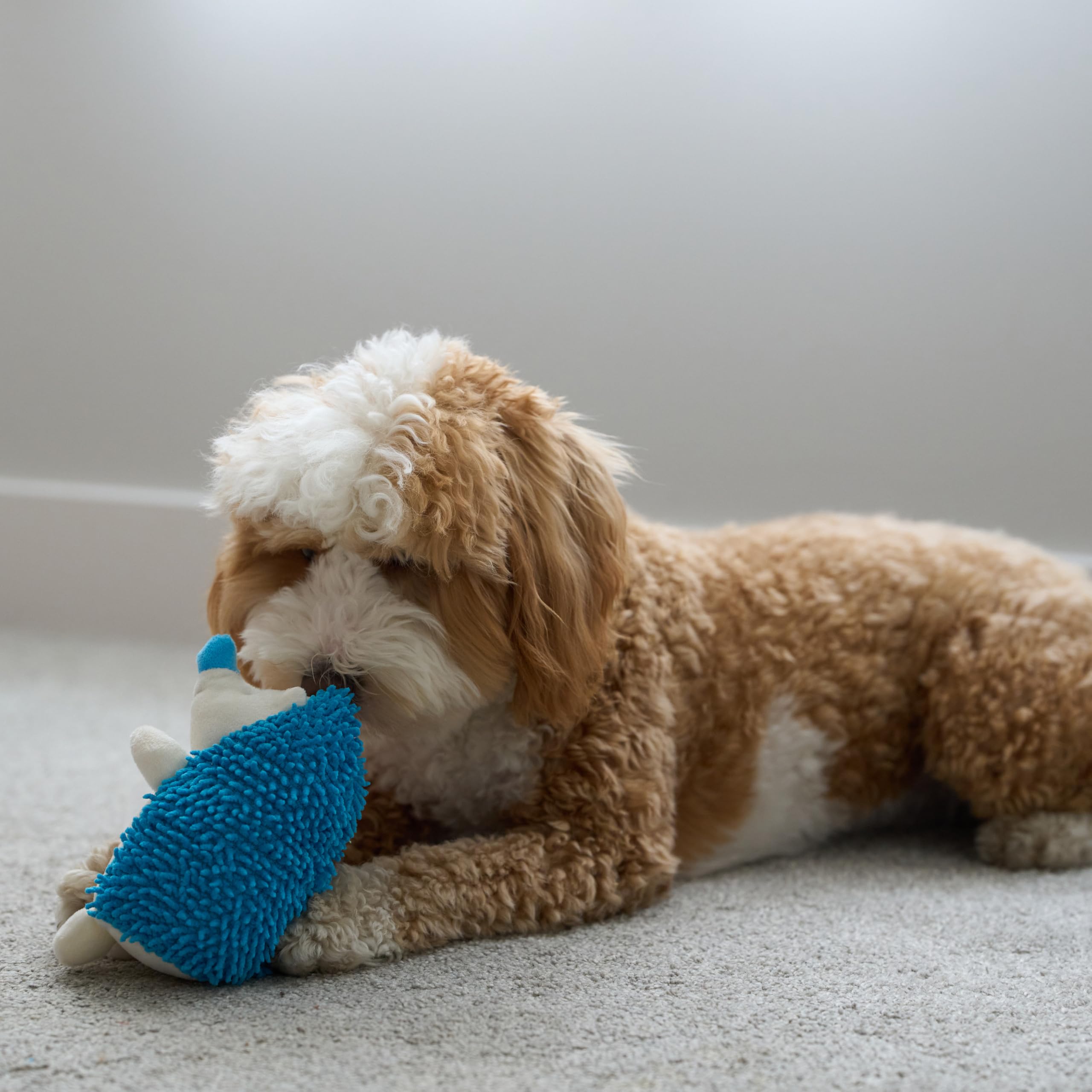 SPOT erizo peluche para juego diario