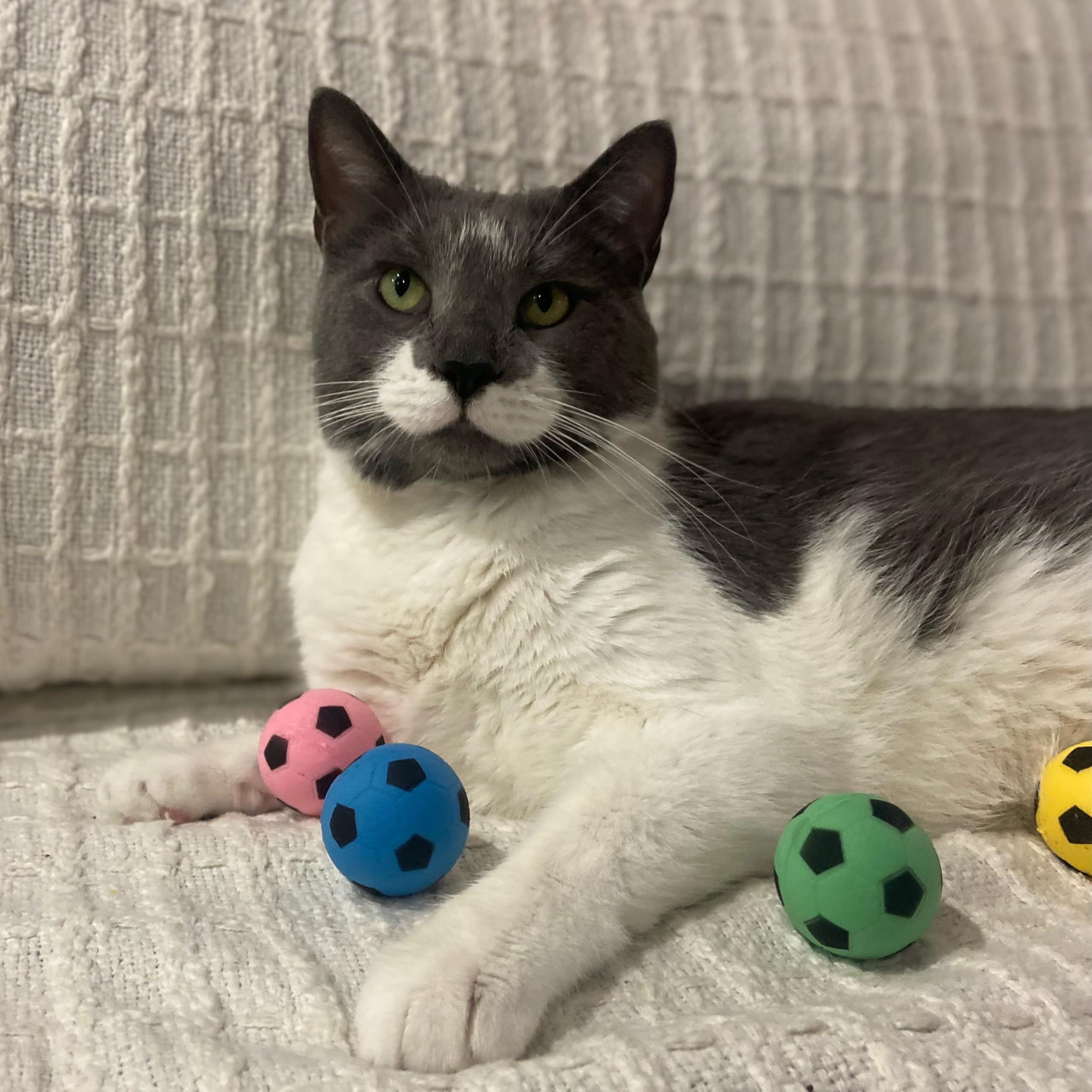 SPOT esponja bola-fútbol rosa claro para gatitos, promueve curiosidad en el juego