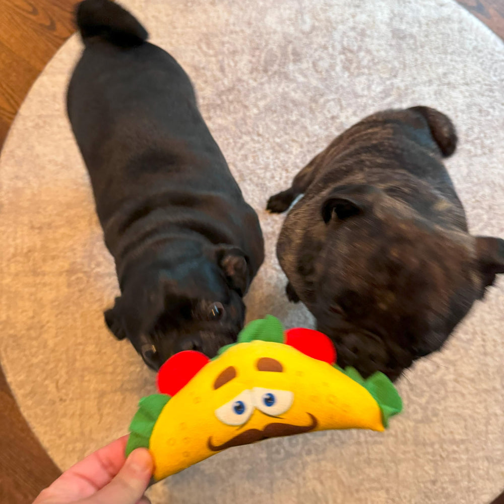 SPOT Fun Food Taco, entretenimiento seguro para mascotas durante horas.