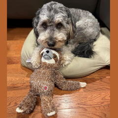 SPOT Fun Sloth de 13 pulgadas, tamaño ideal para perros medianos y grandes.