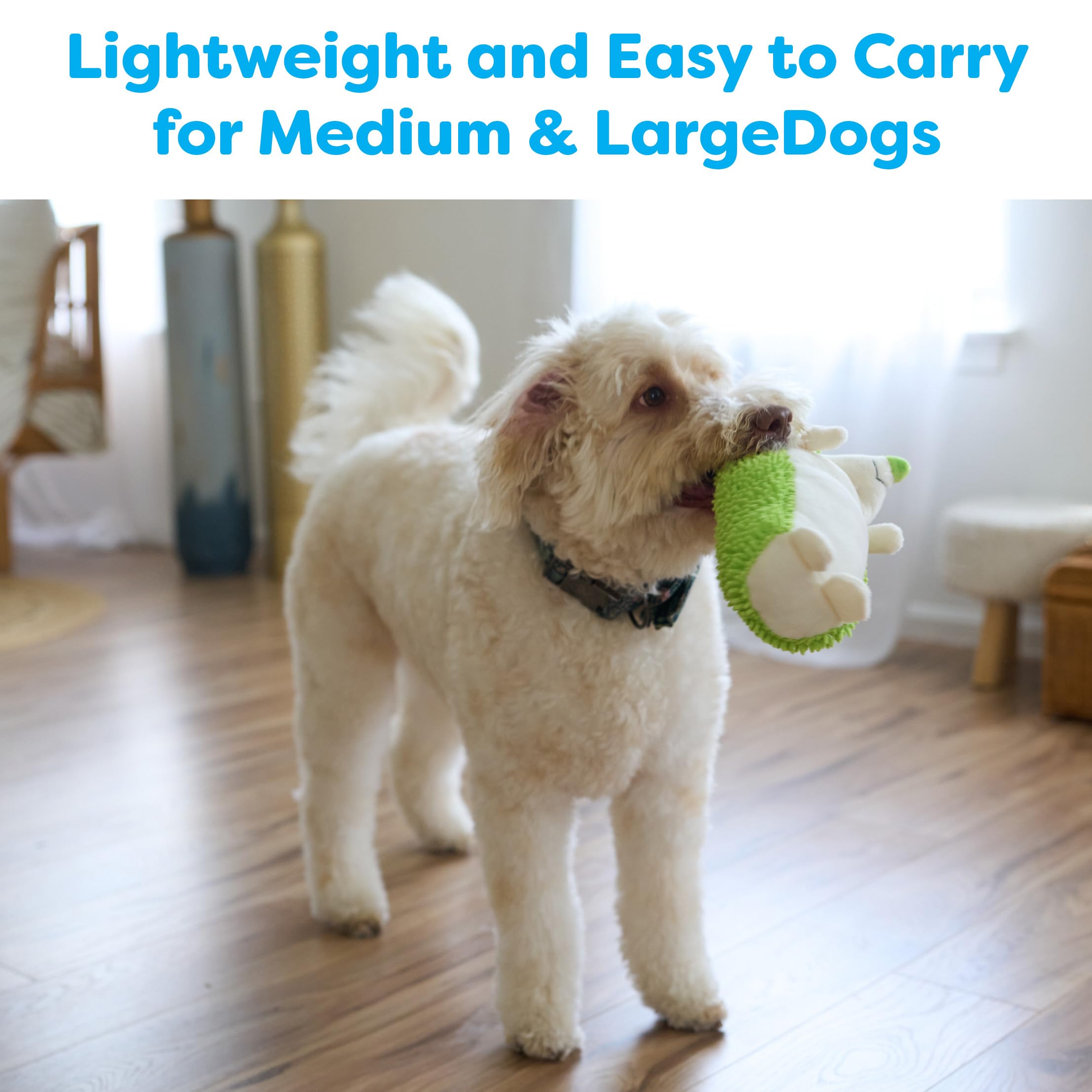 SPOT Gigglers erizo: tamaño de 12 pulgadas ideal para perros medianos y grandes
