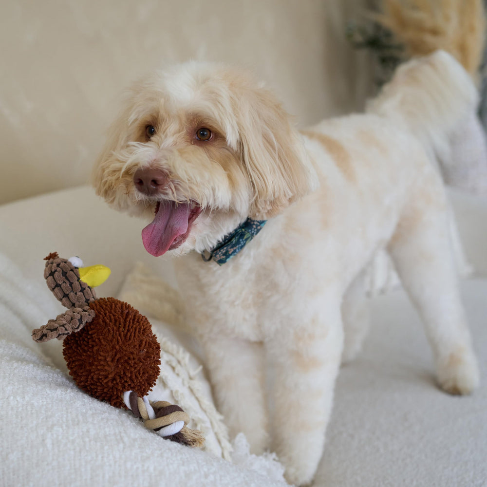 SPOT Gigglers para perros pequeños y medianos: tamaño práctico para casa.