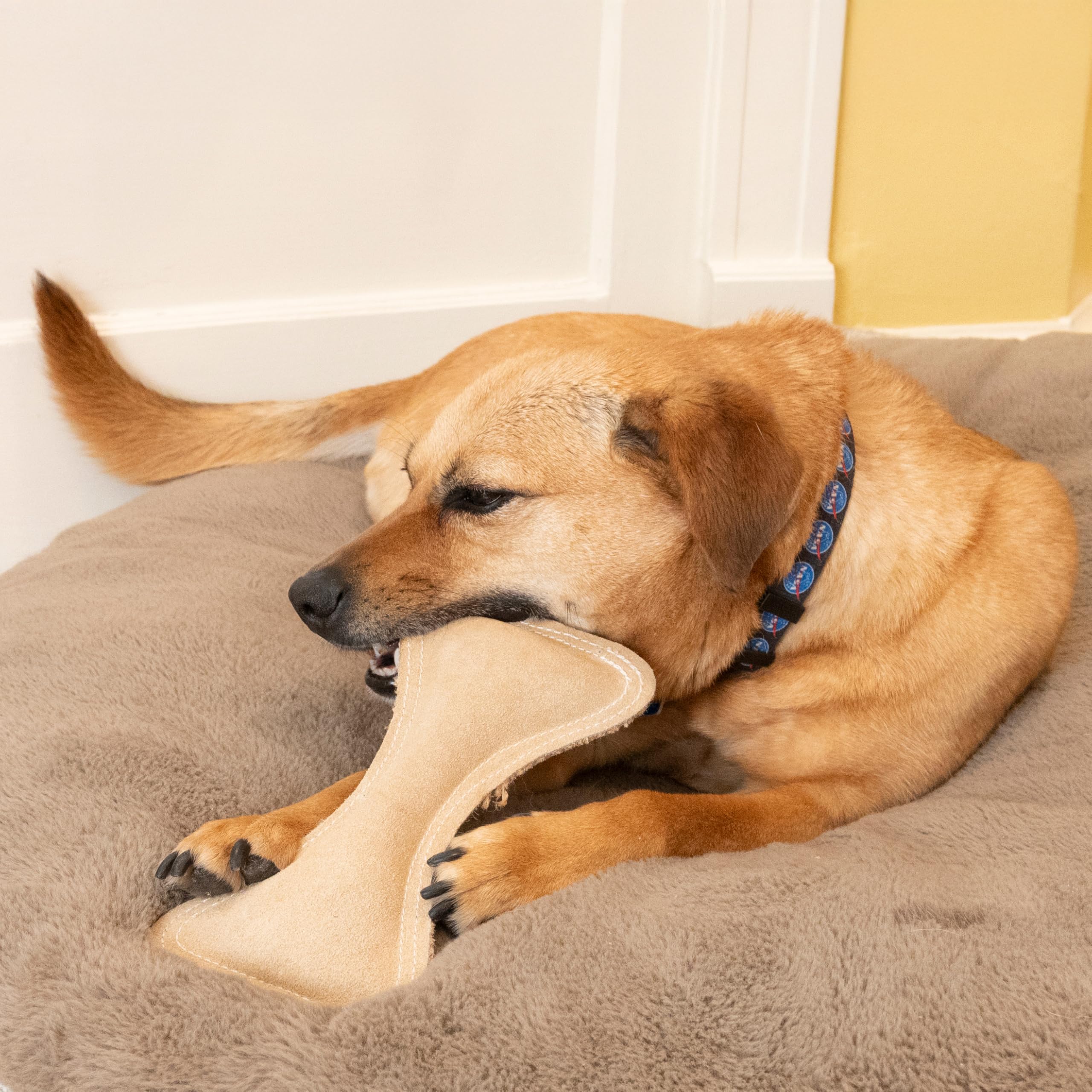 SPOT Hueso suave con relleno y sonoro incorporado.