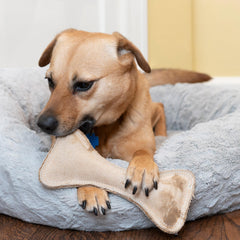 SPOT Juguete interactivo con squeaker para mantener la atención.