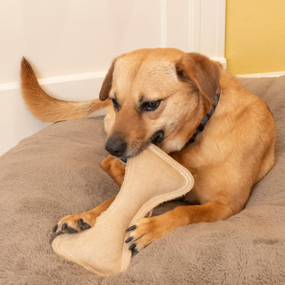 SPOT Juguete de cuero seguro para perros.