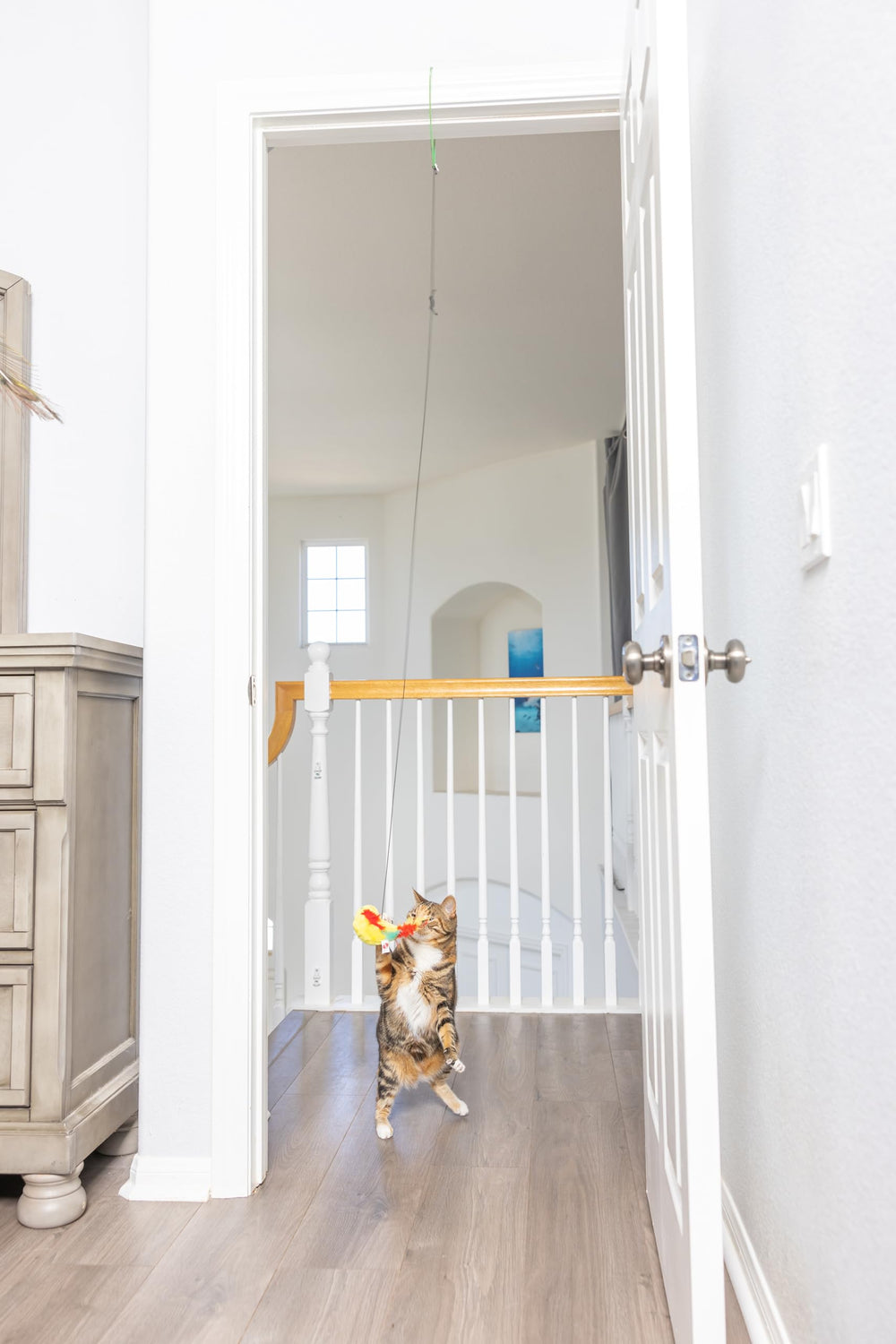 Spot Juego interactivo para gatos: estímulo mental y actividad física suave