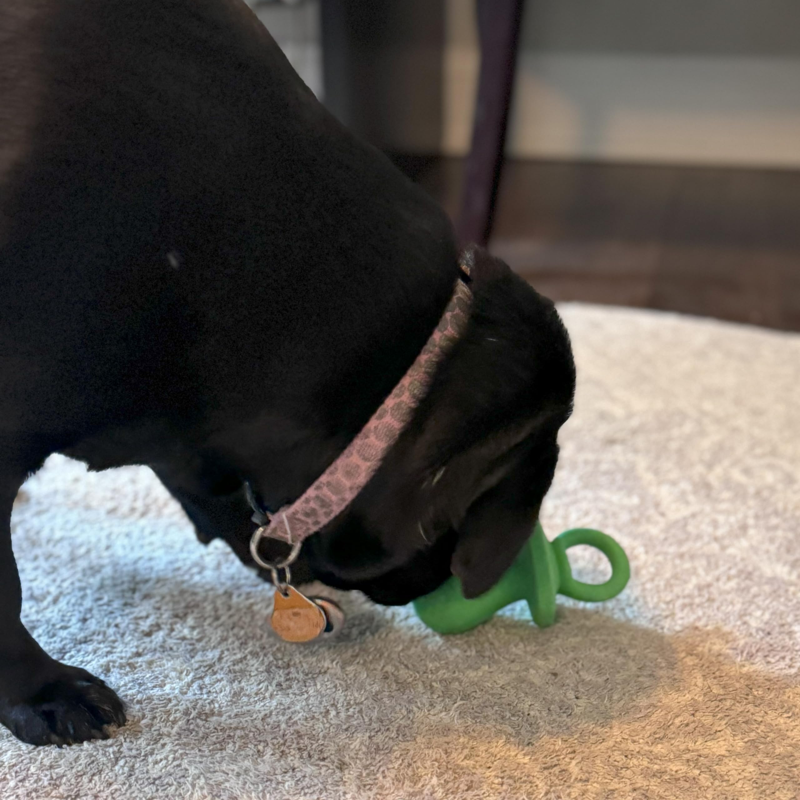 SPOT Puppy Pacifier: ideal para juegos supervisados con cachorros y perros pequeños