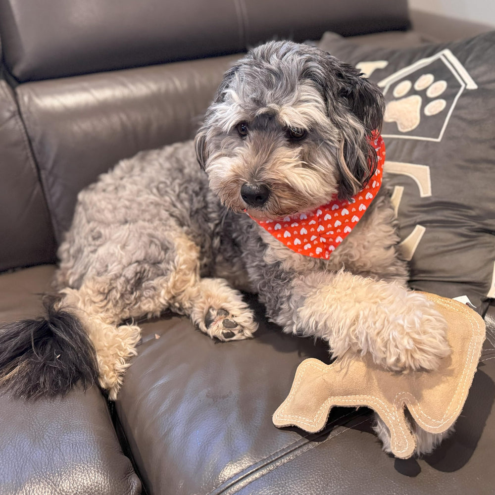 SPOT mapache: cuero con costuras dobles, mayor resistencia para juego intenso.