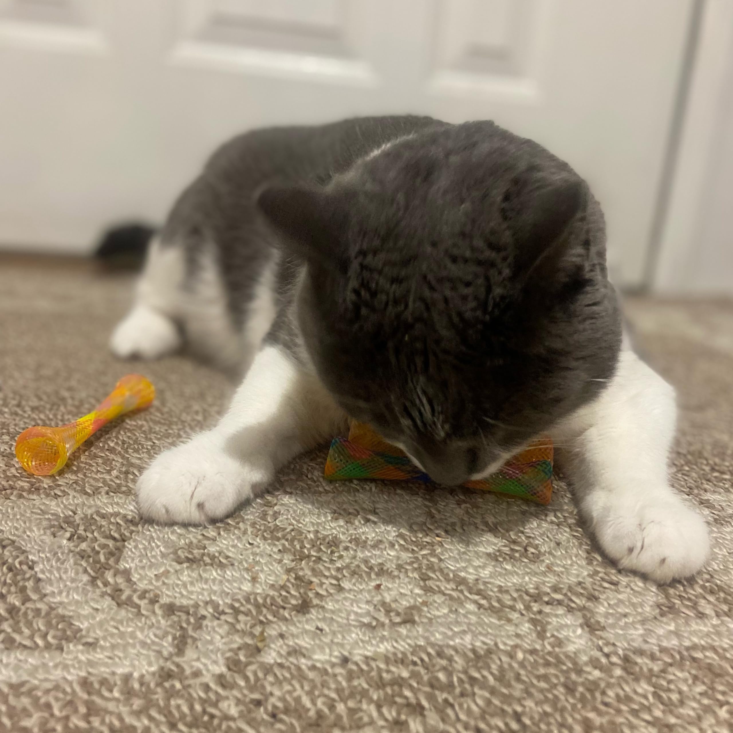 SPOT Kitty Fun Tubes: juego para morder, golpear y perseguir.