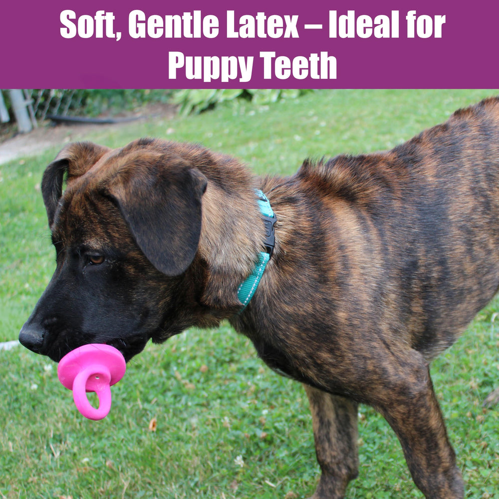 SPOT Puppy Pacifier: adecuado para masticadores ligeros de perros pequeños