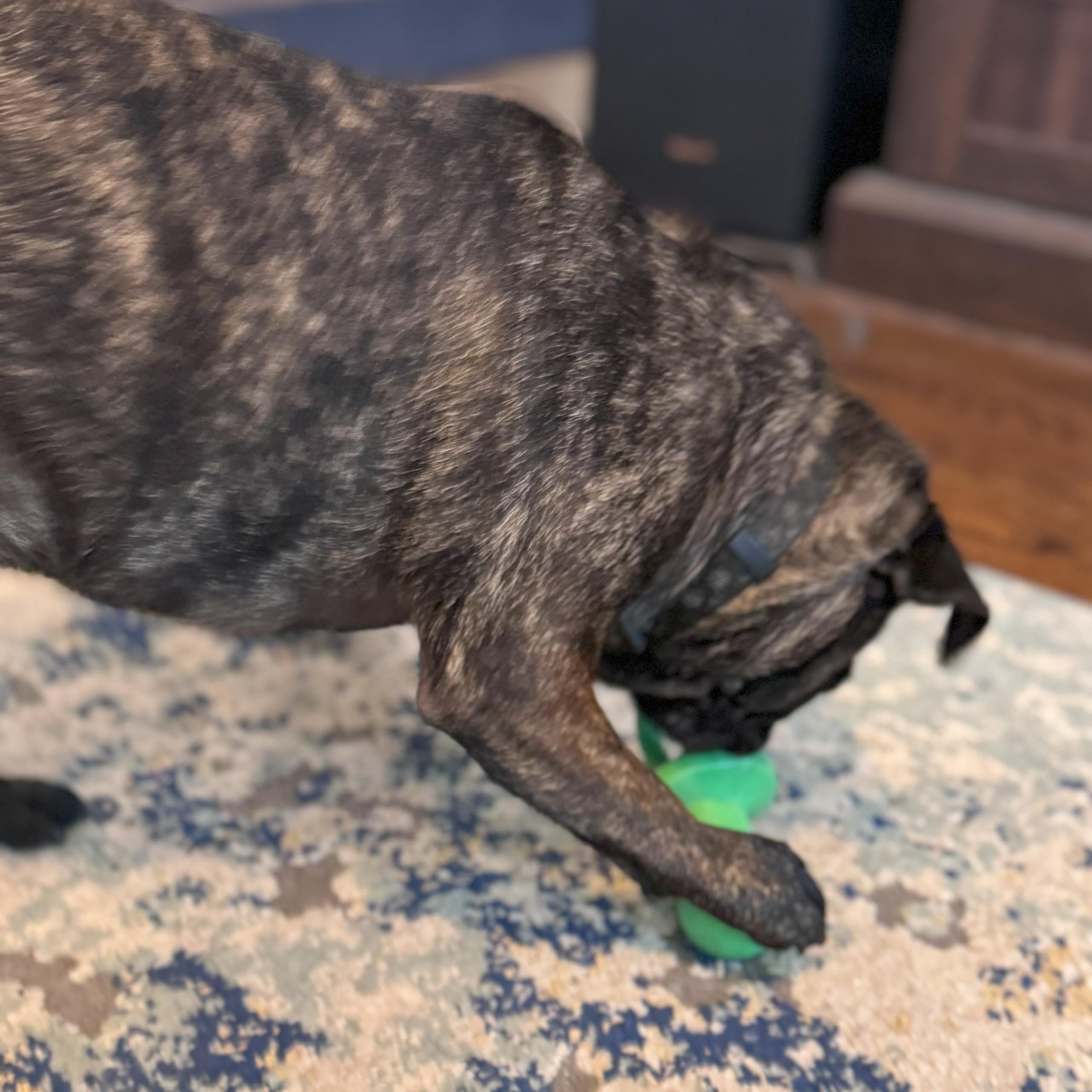 SPOT Puppy Pacifier: perfecto para sesiones de juego diarias en casa