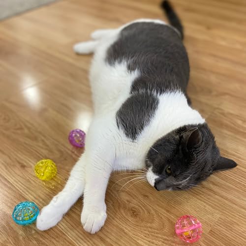 SPOT Lattice Balls para gatos adultos: diversión ligera que quema energía.