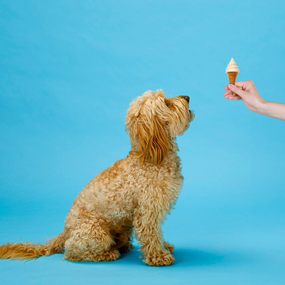 SPOT Pup Ice: calcio para dientes y huesos fuertes