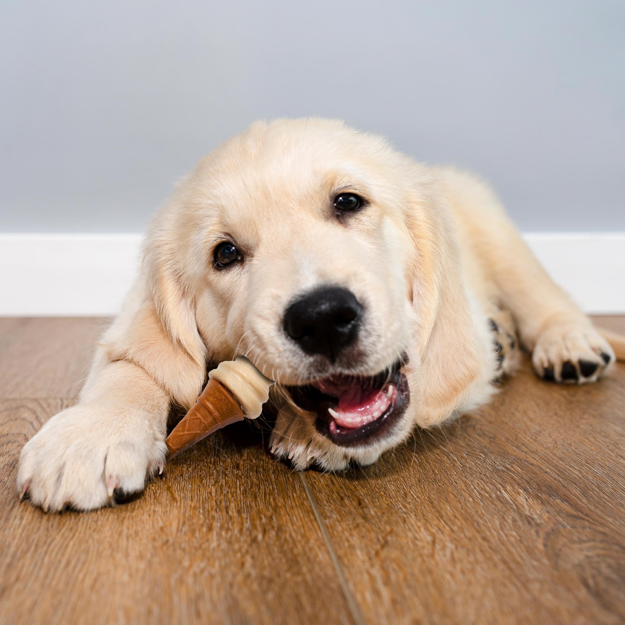 SPOT Pup Ice: formas diversas para más interés