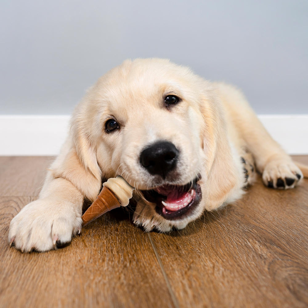 SPOT Pup Ice: formas diversas para más interés