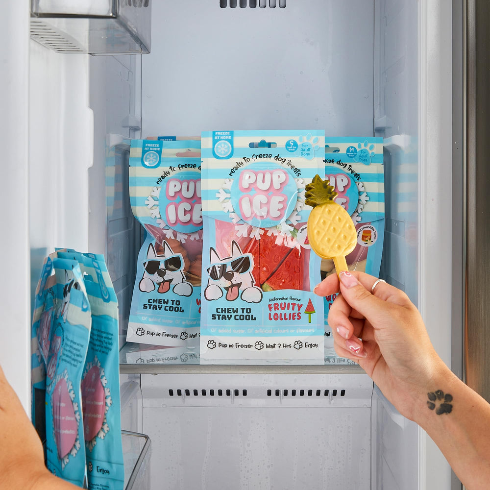 SPOT Pup Ice formas variadas: incentiva la masticación y la curiosidad.