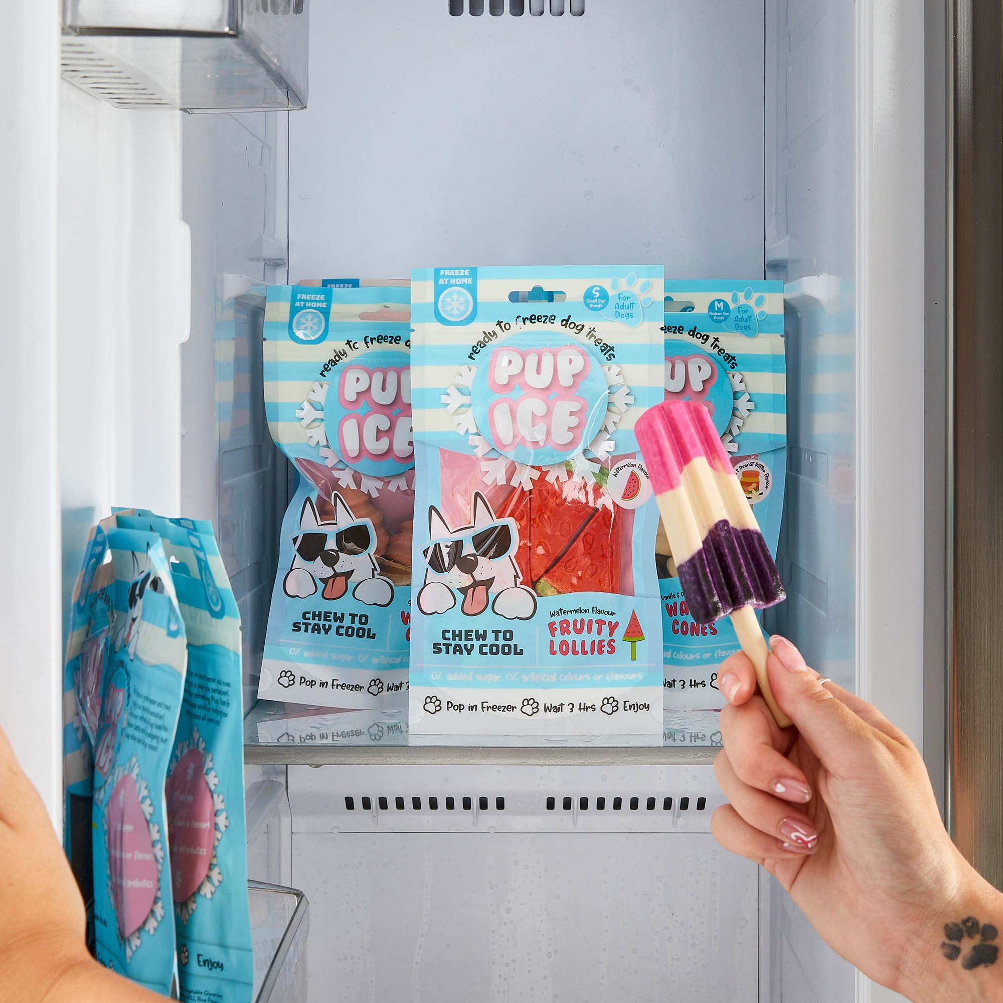 SPOT Pup Ice con pollo real, sabor sabroso para perros