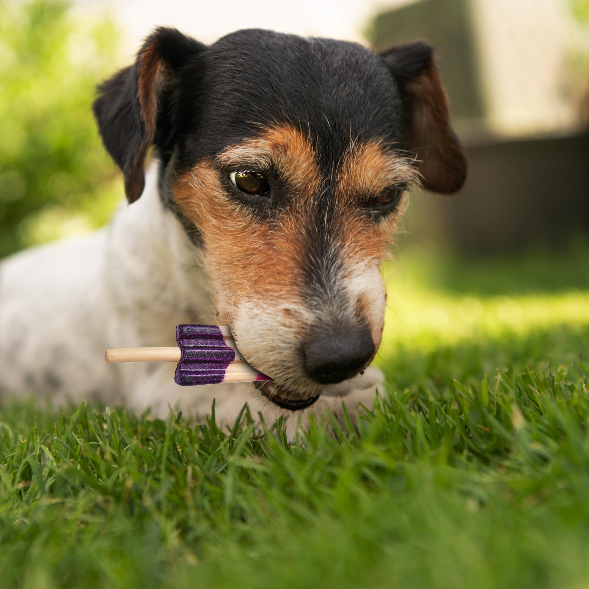 SPOT Pup Ice prebioticos, apoyo digestivo al masticar